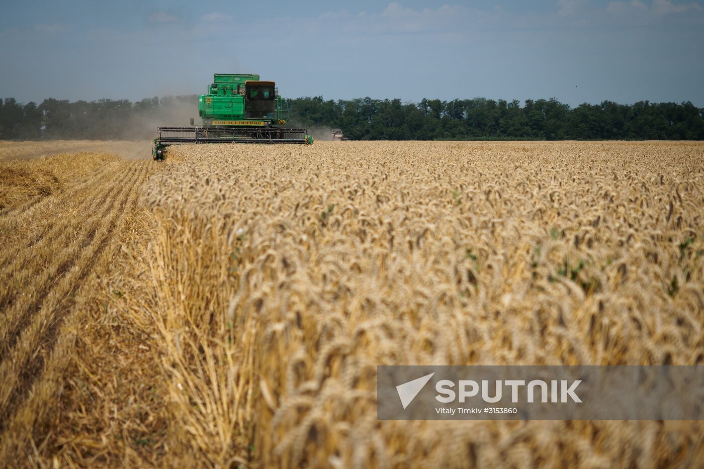 Crops harvest in Krasnodar Territory