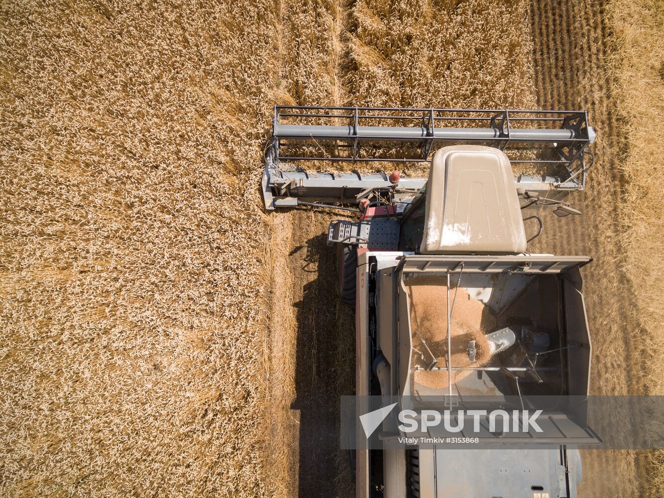 Crops harvest in Krasnodar Territory