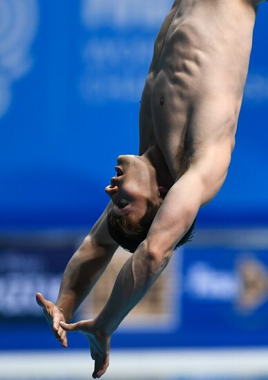 17th FINA World Championships. Diving. Mixed team event final