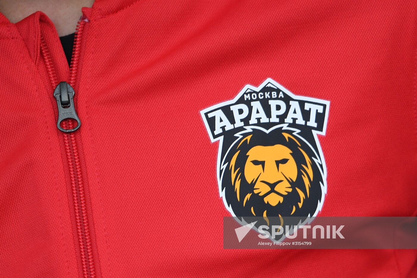 Russian Professional Football League. Zone Center. Zorky vs. Ararat