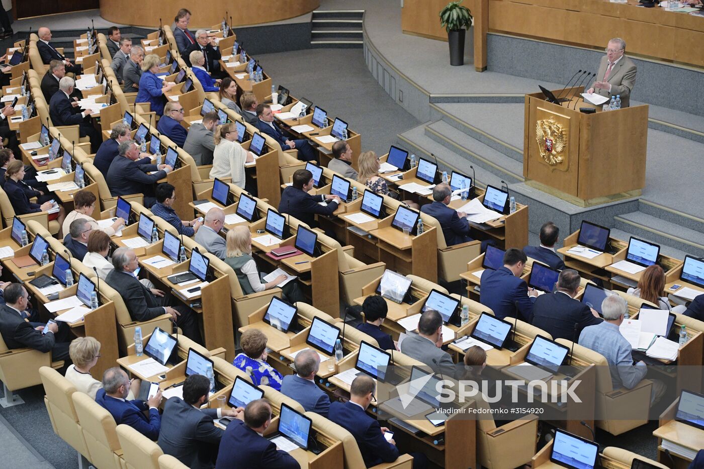 Russian State Duma's additional plenary meeting