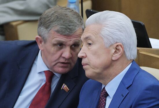 Russian State Duma's additional plenary meeting