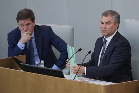 Russian State Duma's additional plenary meeting