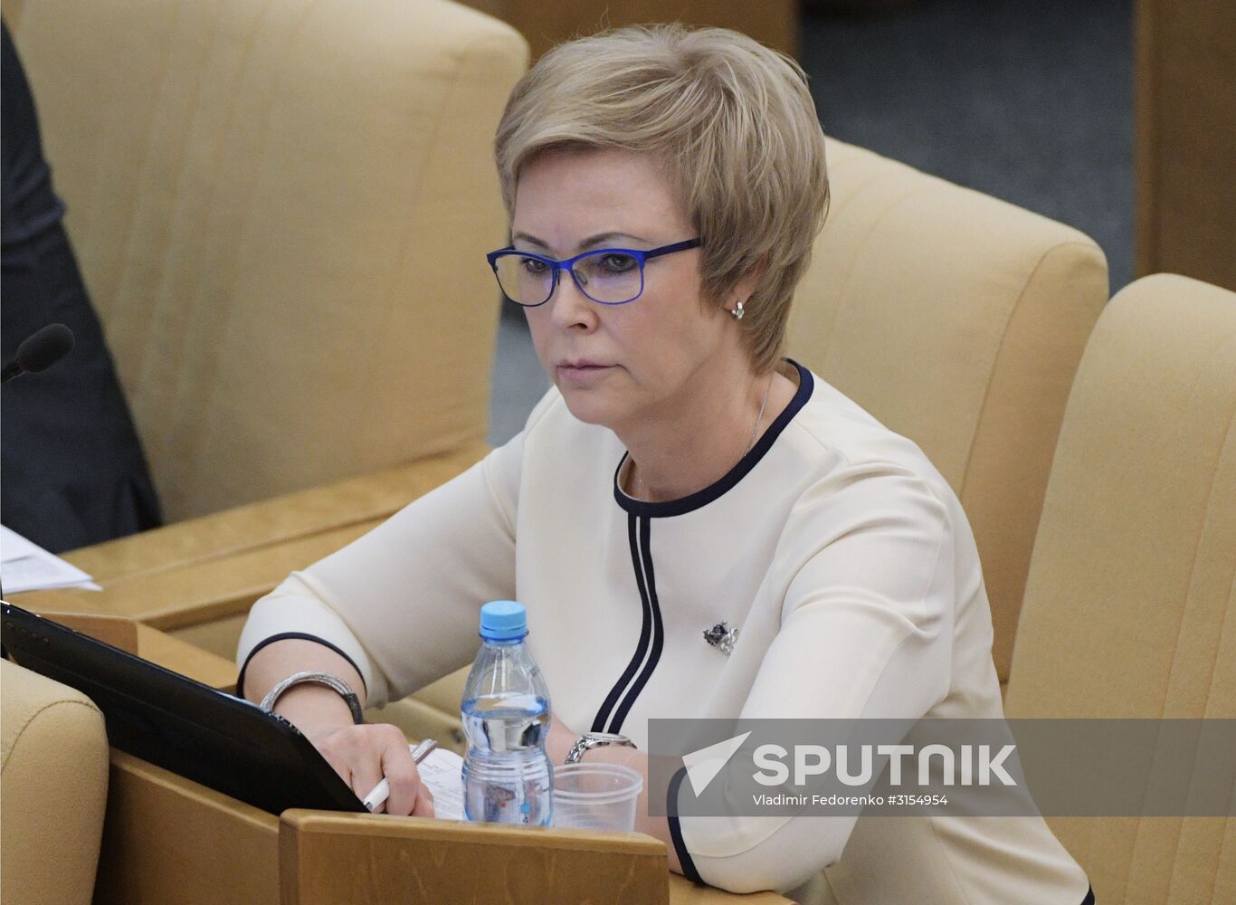 Russian State Duma's additional plenary meeting