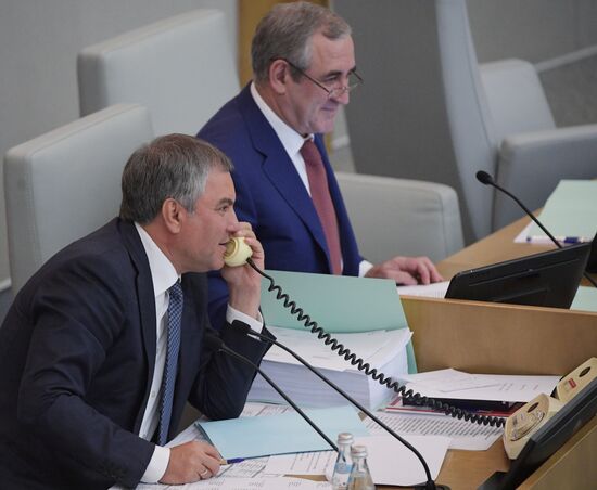 Russian State Duma's additional plenary meeting