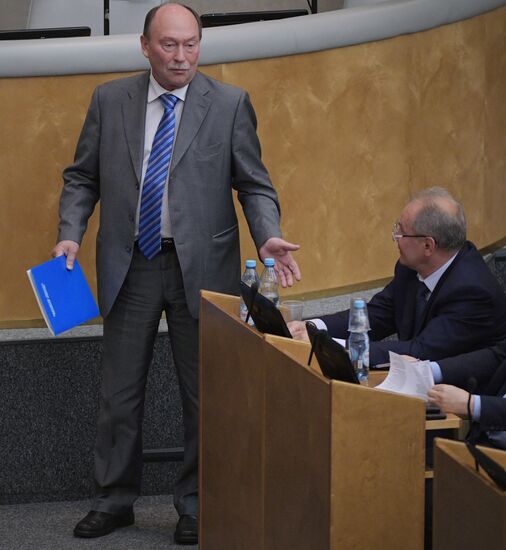 Russian State Duma's additional plenary meeting