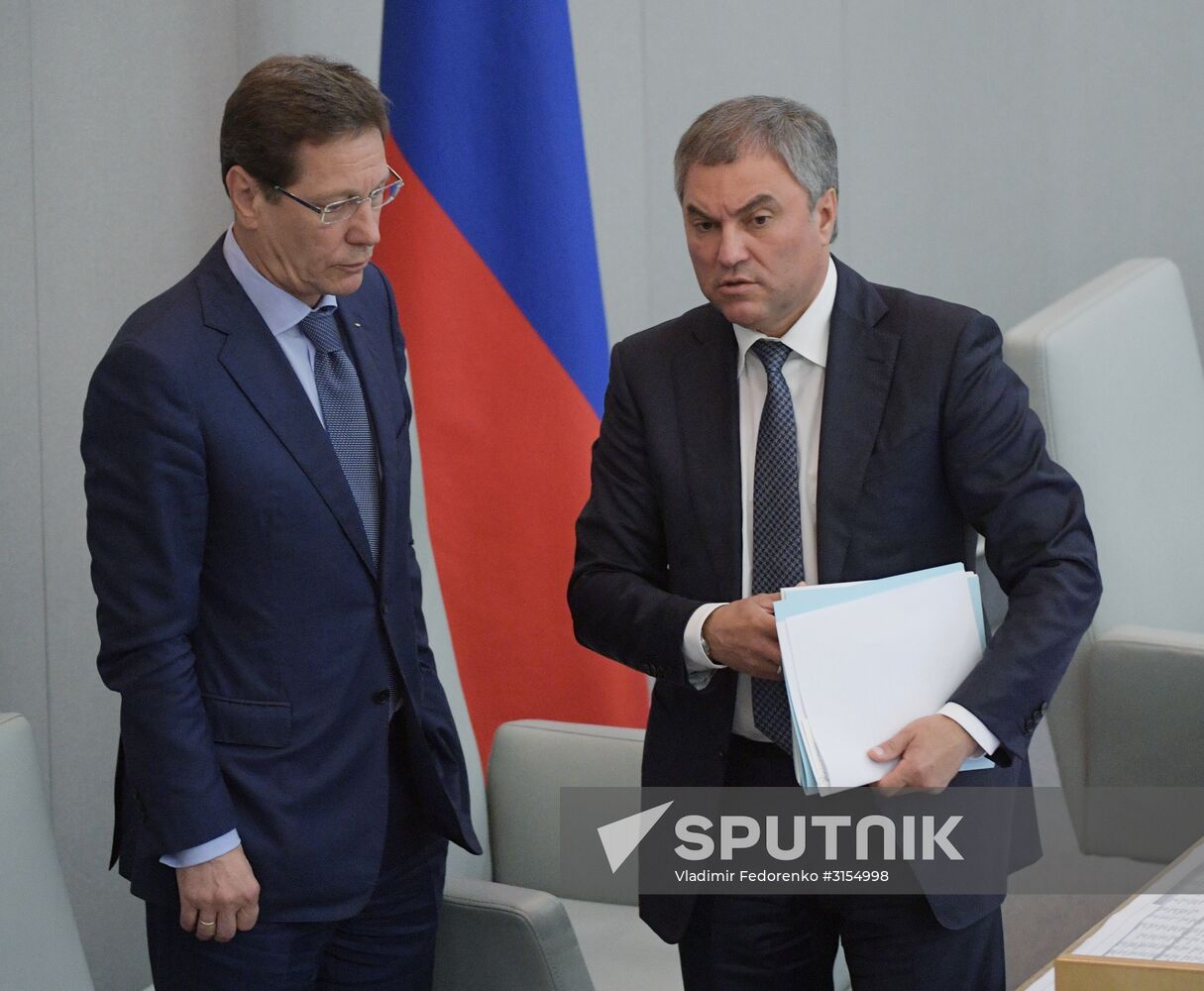 Russian State Duma's additional plenary meeting