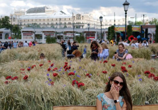 "Summer in Moscow. Flower jam" festival opens in Moscow.