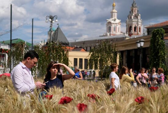 "Summer in Moscow. Flower jam" festival opens in Moscow.