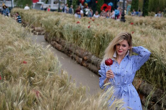 "Summer in Moscow. Flower jam" festival opens in Moscow.