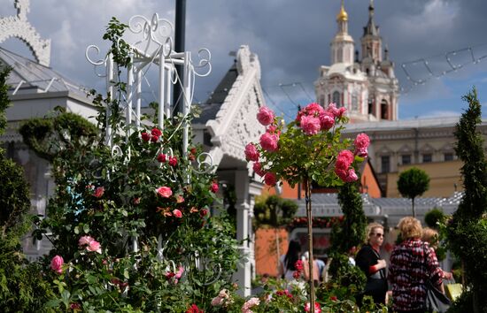 "Summer in Moscow. Flower jam" festival opens in Moscow.