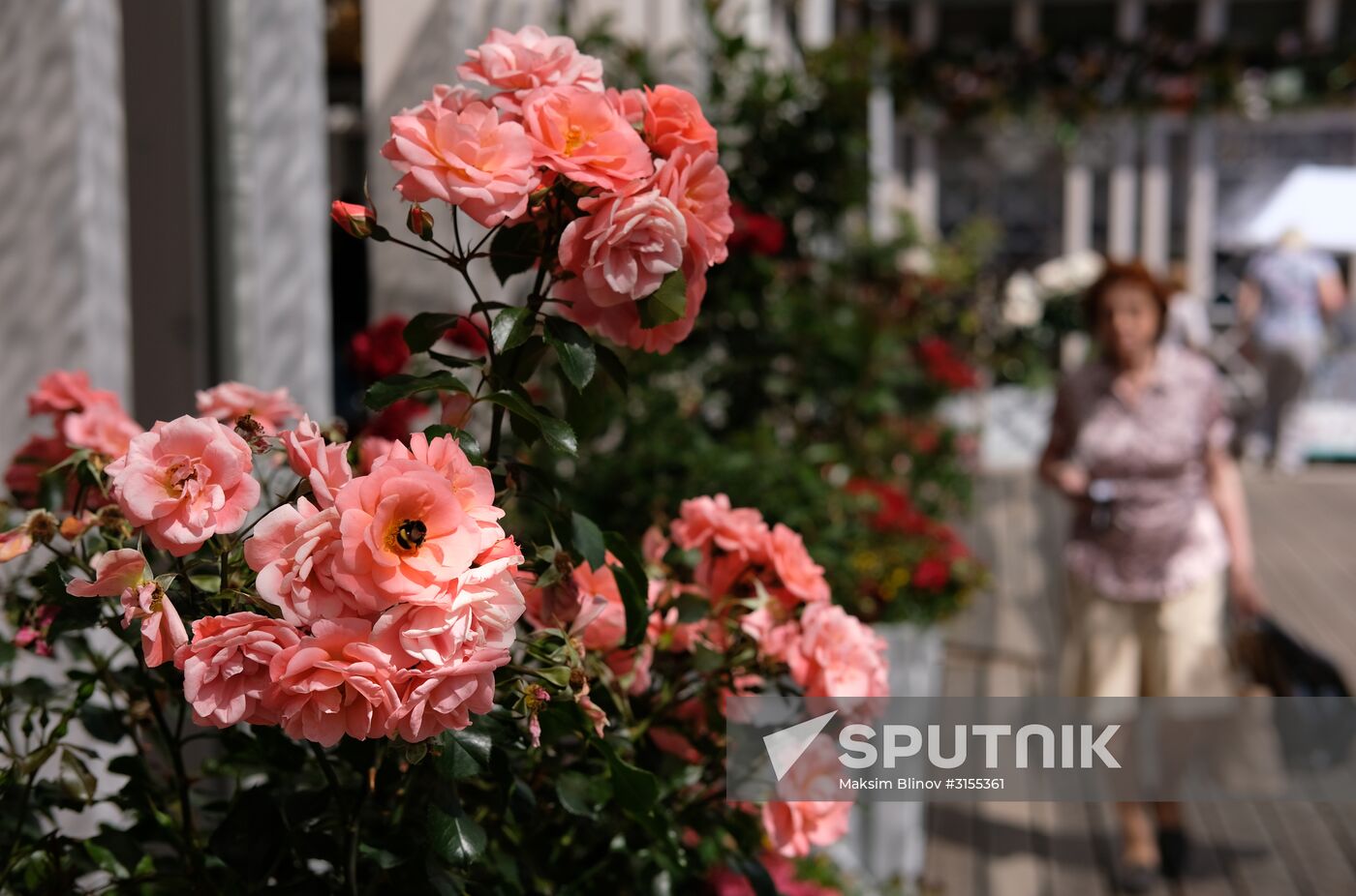 "Summer in Moscow. Flower jam" festival opens in Moscow.