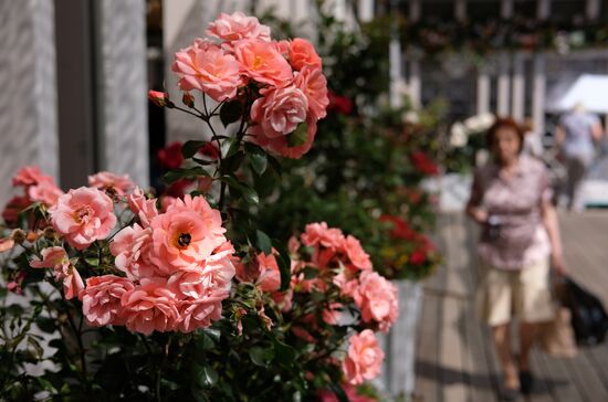 "Summer in Moscow. Flower jam" festival opens in Moscow.
