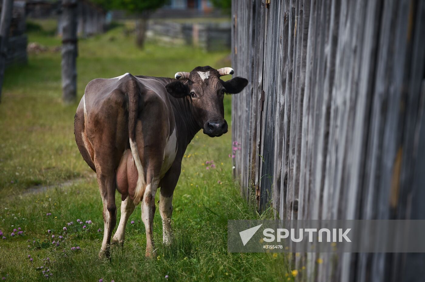 Komi Republic nature
