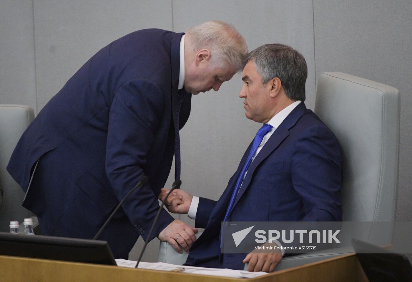 Final plenary meeting of the Russian State Duma's spring session