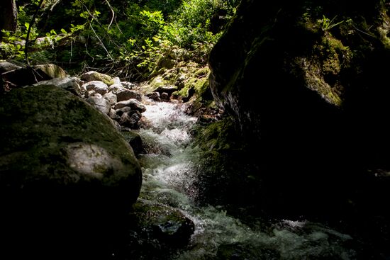 Nagutni mountain climatic and health resort in South Ossetia