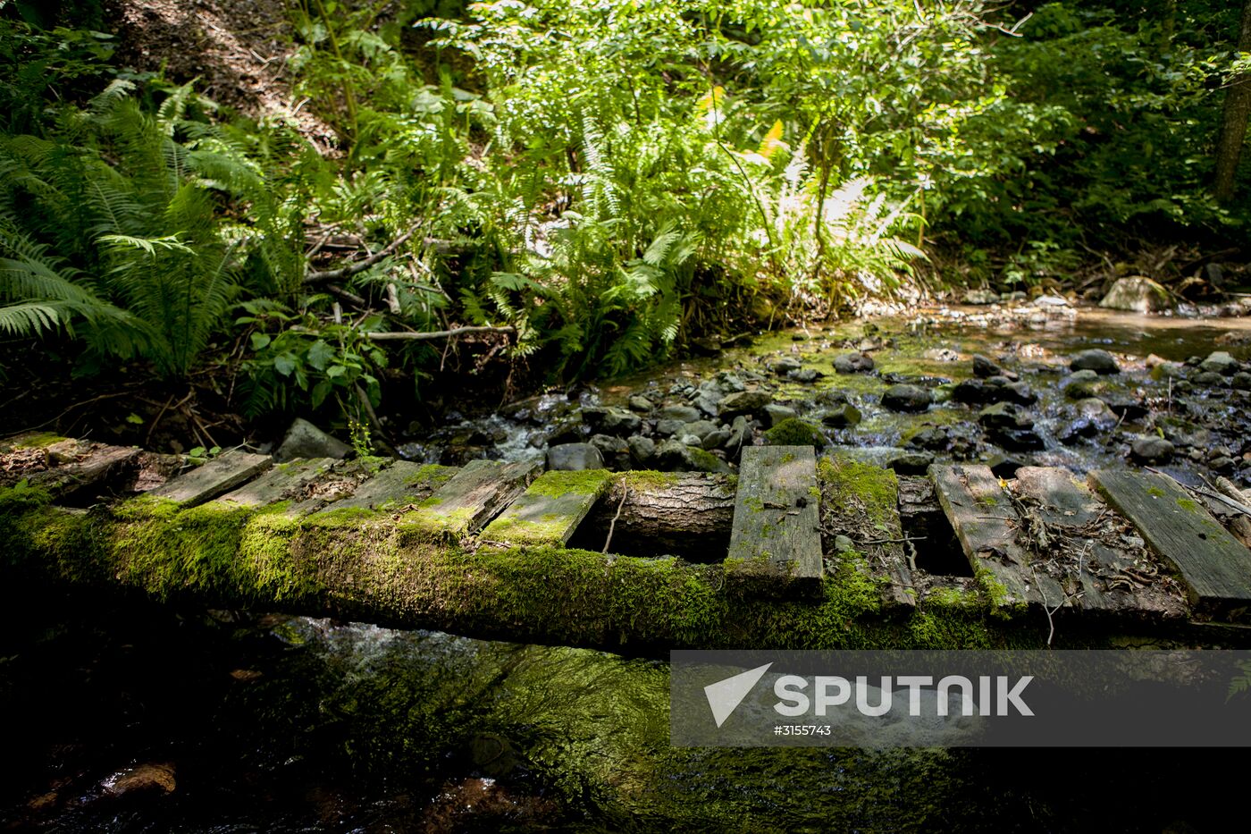 Nagutni mountain climatic and health resort in South Ossetia