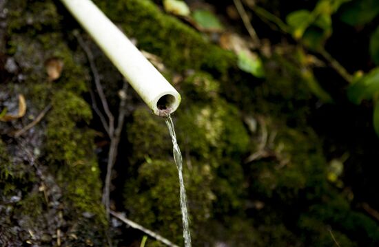 Nagutni mountain climatic and health resort in South Ossetia