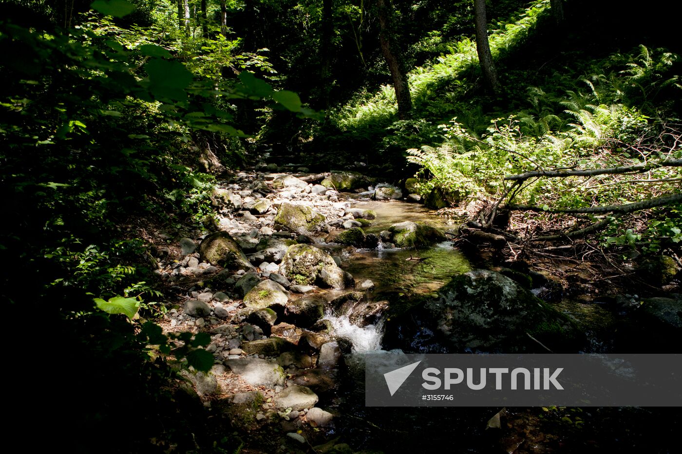 Nagutni mountain climatic and health resort in South Ossetia