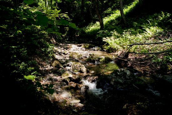 Nagutni mountain climatic and health resort in South Ossetia