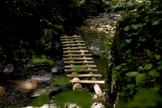 Nagutni mountain climatic and health resort in South Ossetia