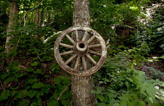 Nagutni mountain climatic and health resort in South Ossetia