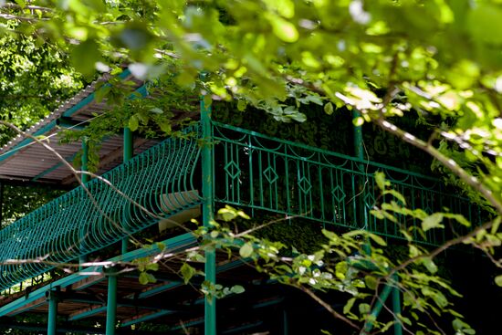 Nagutni mountain climatic and health resort in South Ossetia