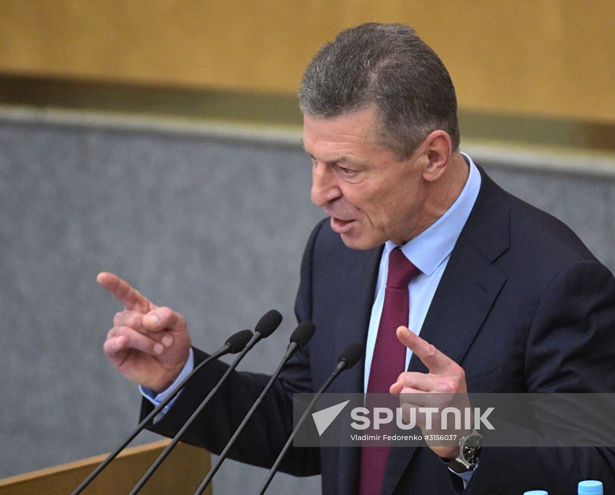 Final plenary meeting of the Russian State Duma's spring session