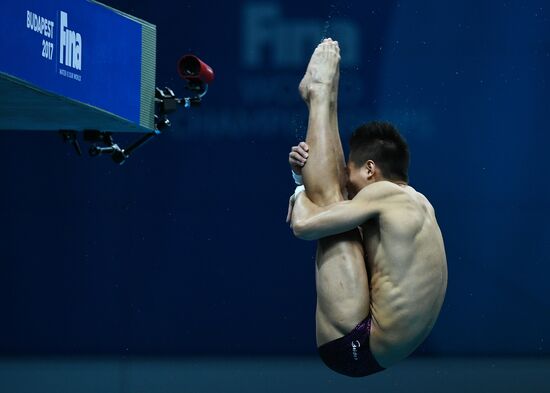 17th FINA World Championships. Diving. Men. 10m platform. Final