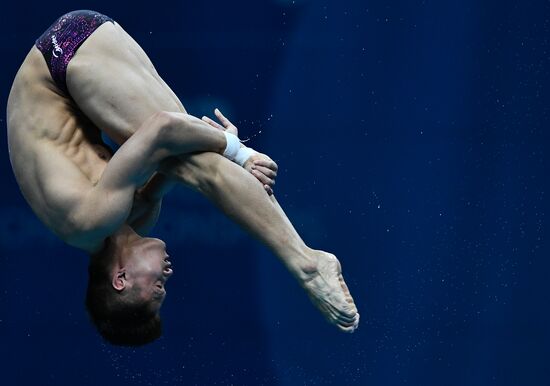 17th FINA World Championships. Diving. Men. 10m platform. Finals