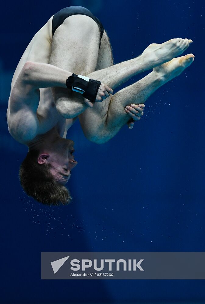 17th FINA World Championships. Diving. Men. 10m platform. Final