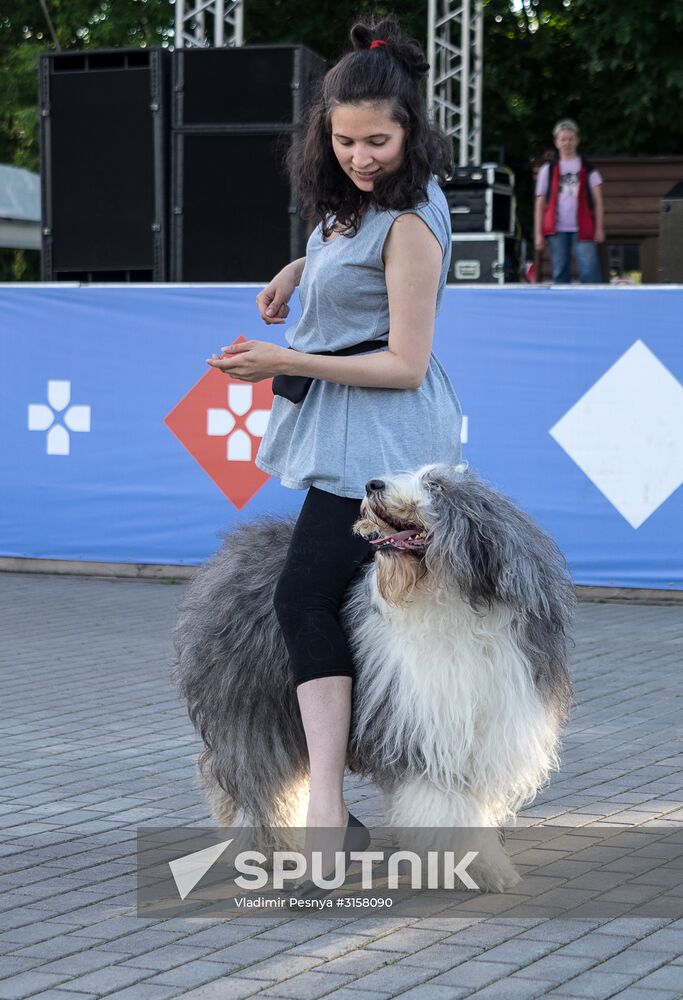 Life Companions festival for dogs and people