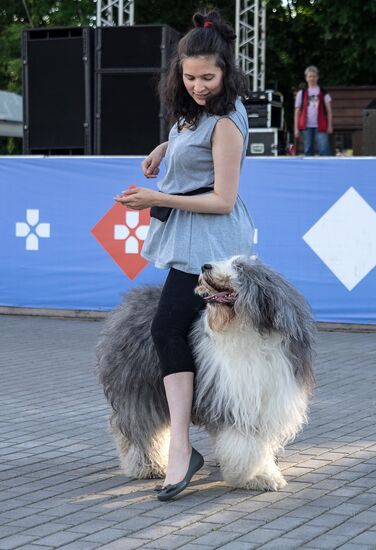 Life Companions festival for dogs and people
