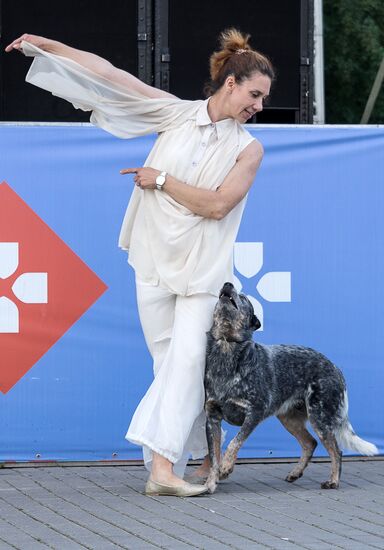 Life Companions festival for dogs and people
