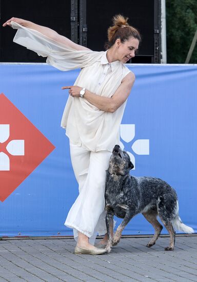 Life Companions festival for dogs and people