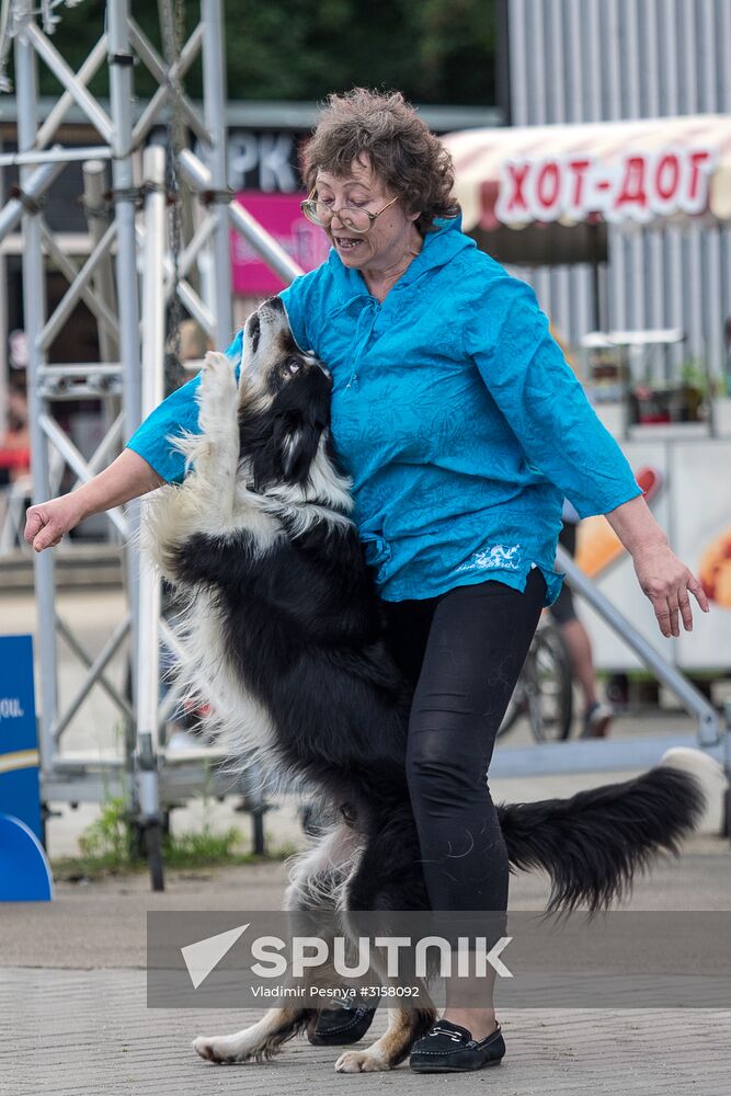 Life Companions festival for dogs and people