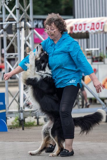 Life Companions festival for dogs and people