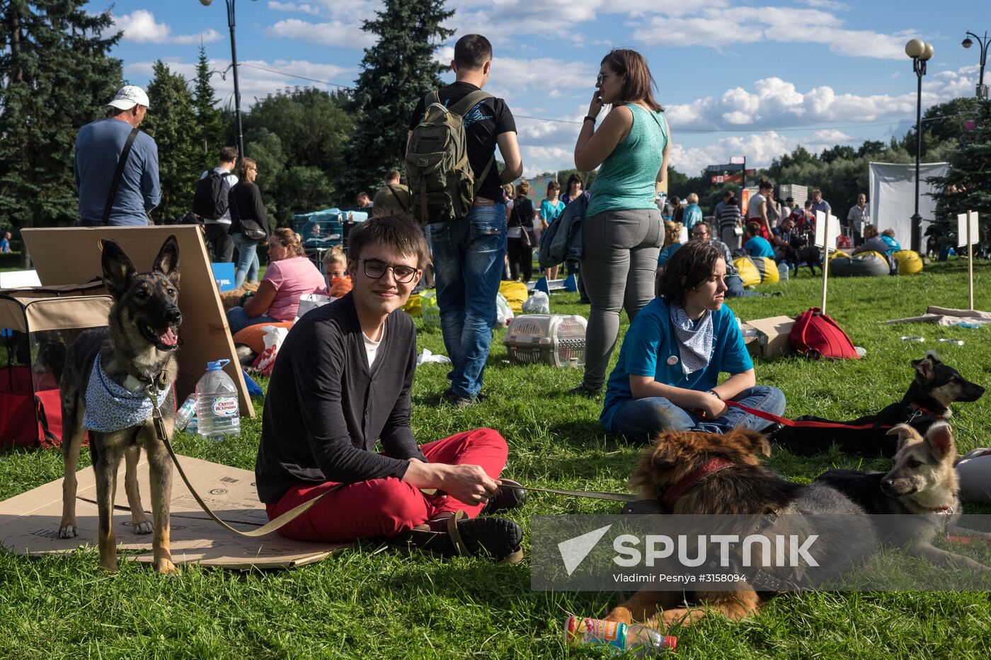 Life Companions festival for dogs and people
