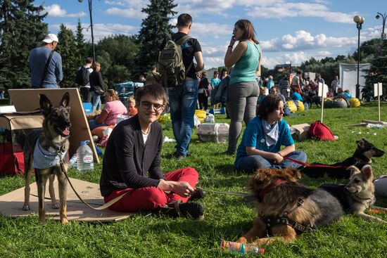 Life Companions festival for dogs and people