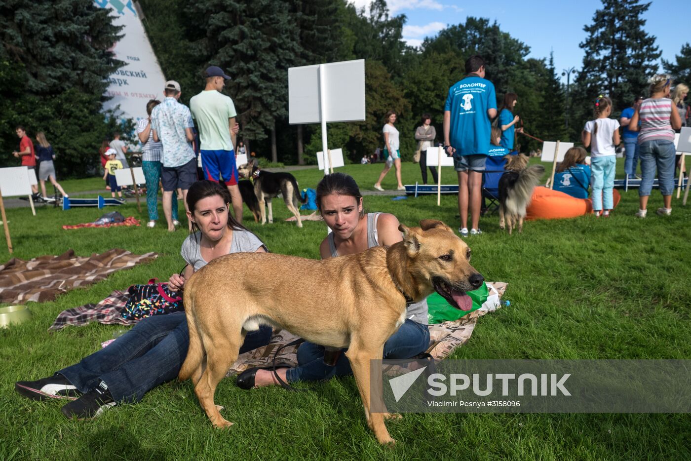 Life Companions festival for dogs and people