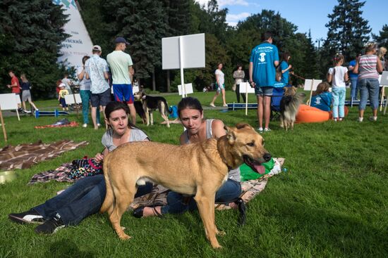 Life Companions festival for dogs and people