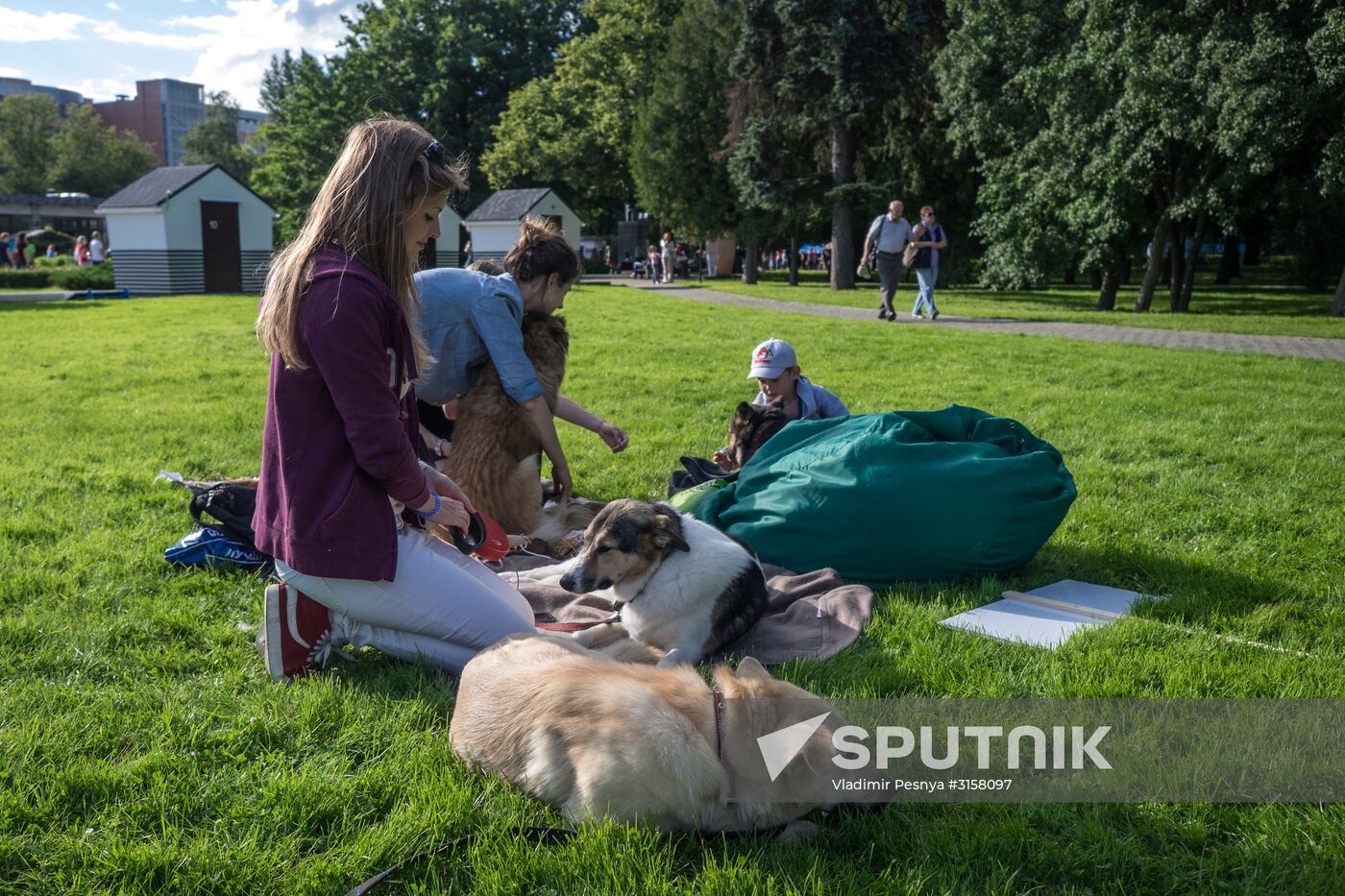 Life Companions festival for dogs and people