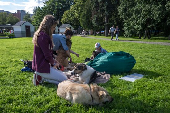 Life Companions festival for dogs and people