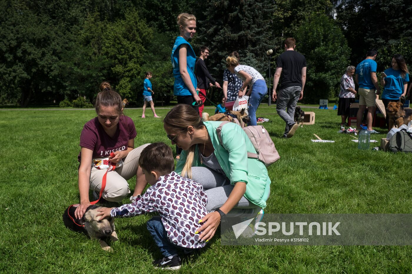 Life Companions festival for dogs and people
