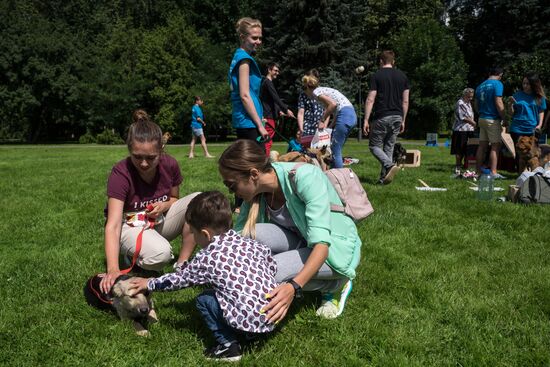 Life Companions festival for dogs and people