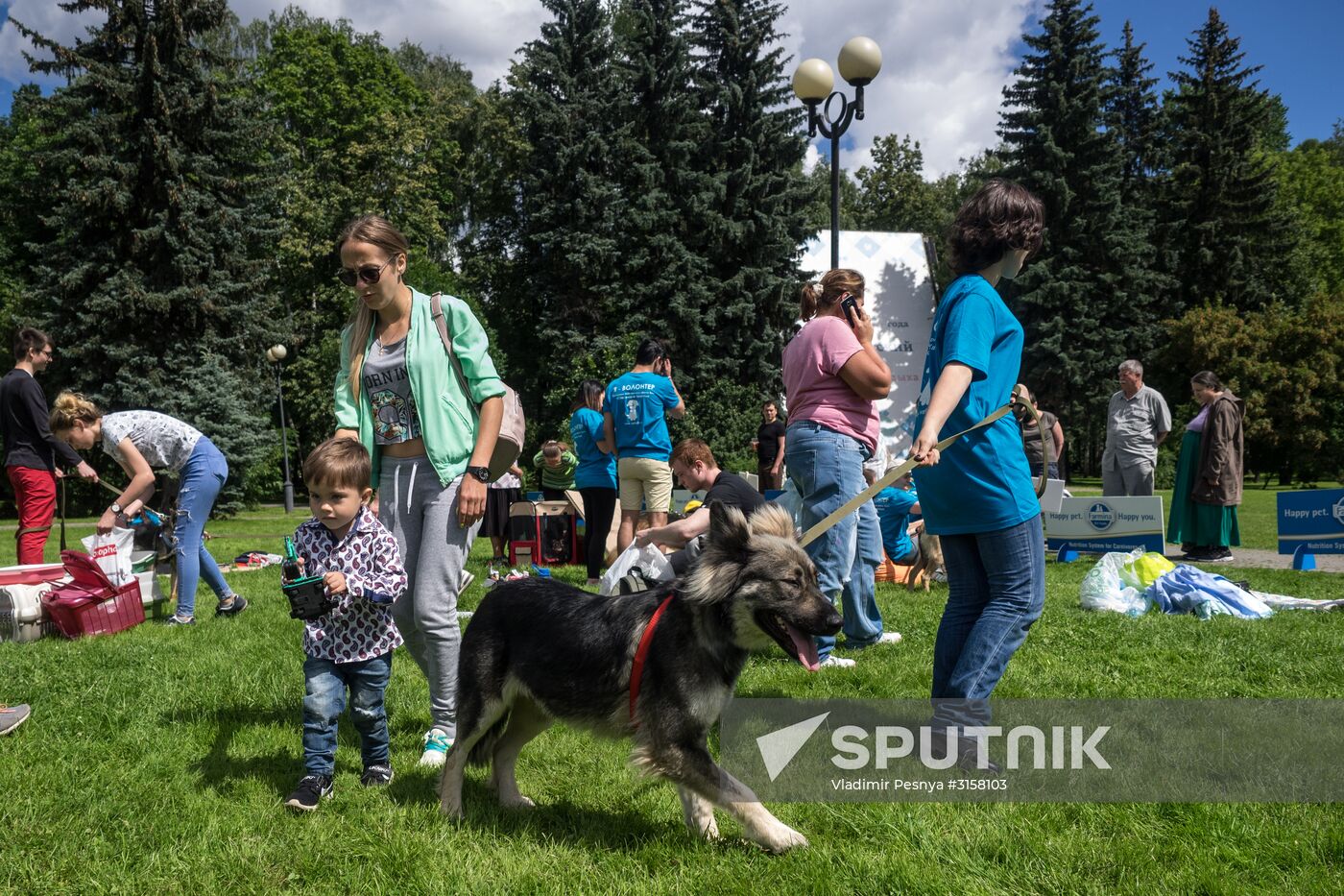 Life Companions festival for dogs and people