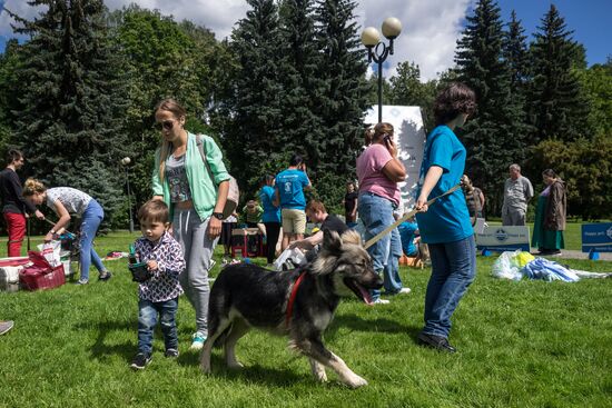 Life Companions festival for dogs and people