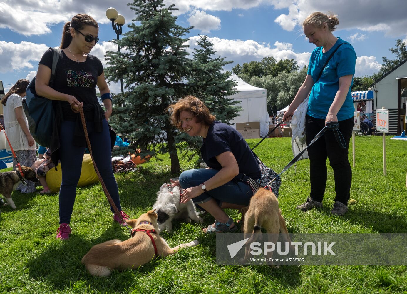Life Companions festival for dogs and people