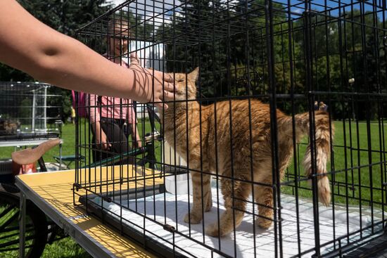 Life Companions festival for dogs and people