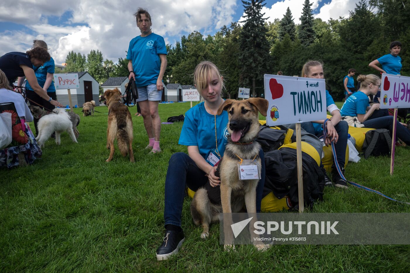 Life Companions festival for dogs and people
